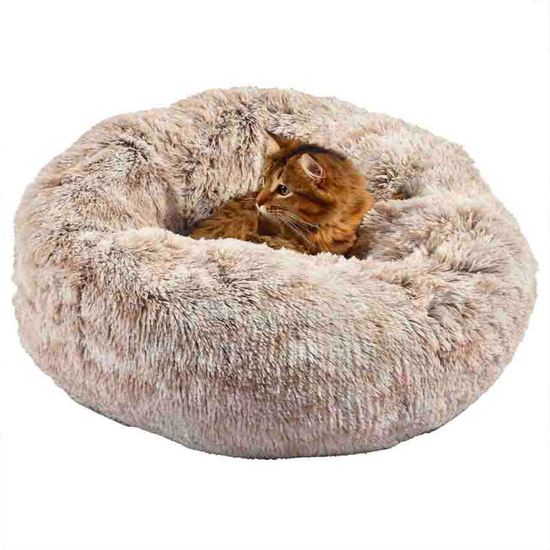 Donut poilu beige avec chat