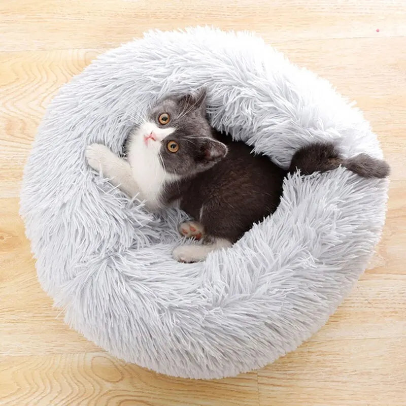 Coussin gris pour chat ou petit chat
