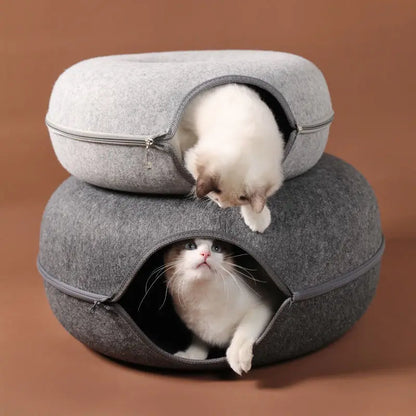 Chats jouant dans des tunnels donuts