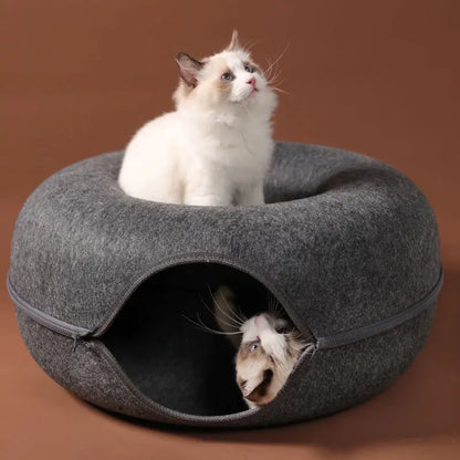 Chat sur tunnel Donut gris foncé et chat à l'intérieur
