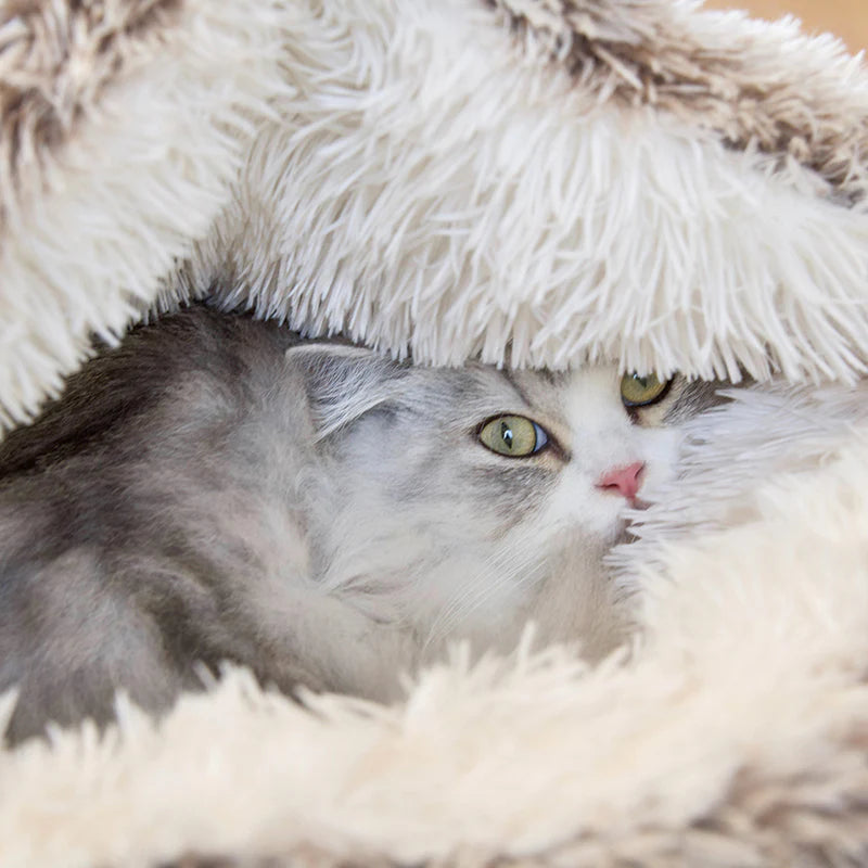 Bulle Poilu avec chat à l'interieur